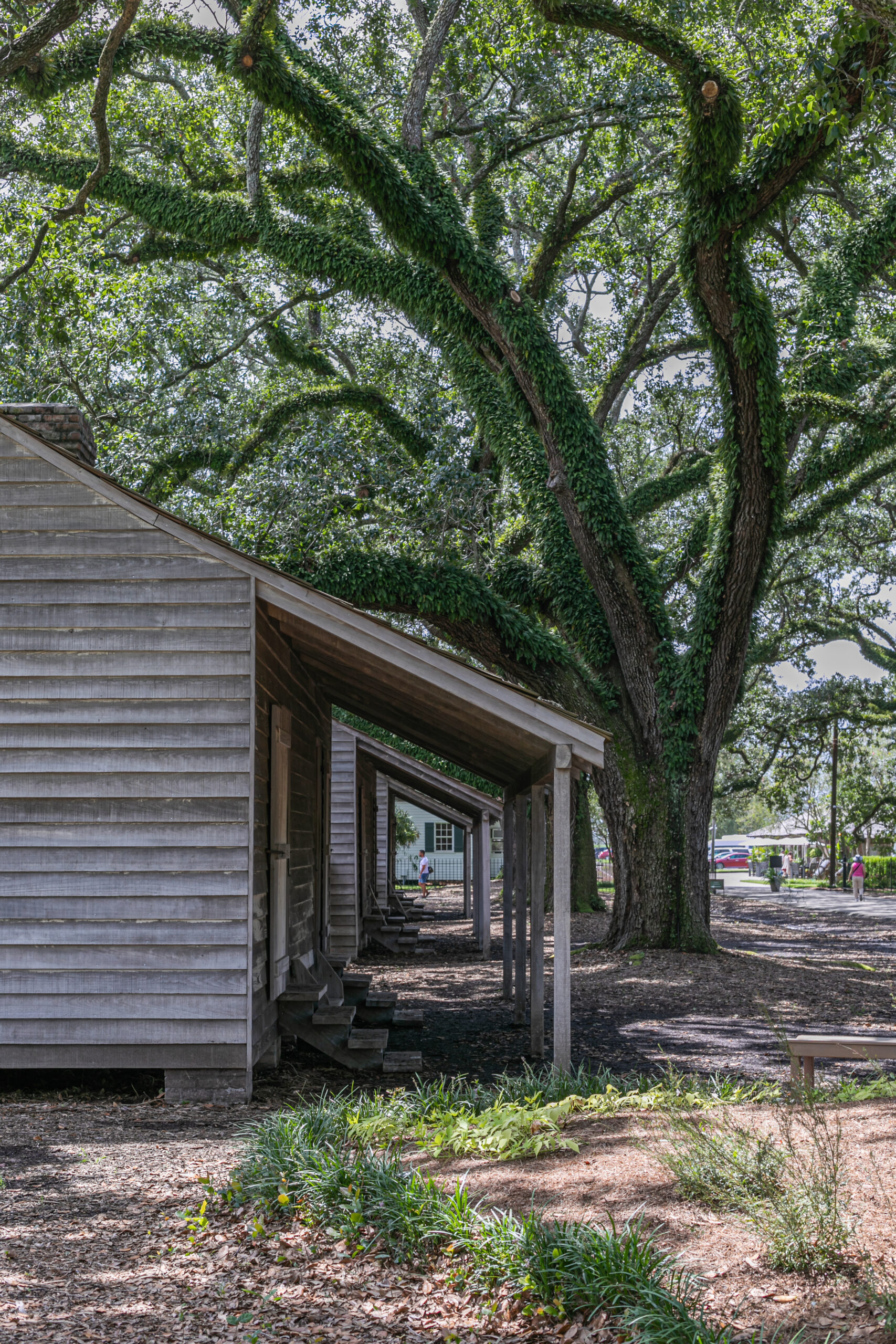 Oak Alley Plantation